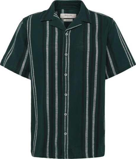 Solid Sdisai Green S