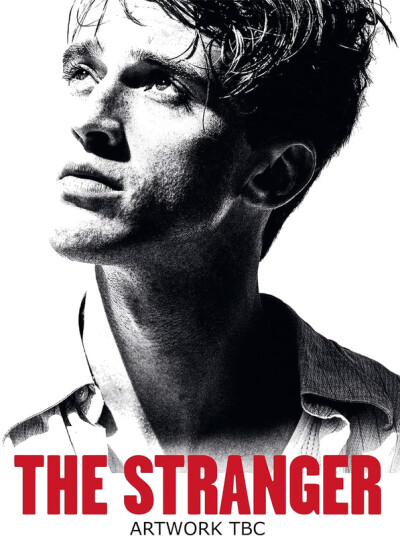 The Stranger 2025 DVD