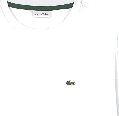 Lacoste T skjorte Hvit Lacoste 10 år (140) T skjorte
