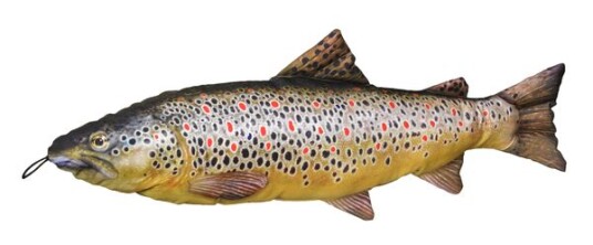 Marinor As Pute   Ørret   65 cm