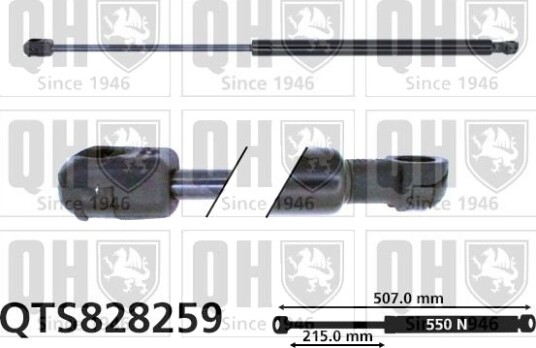 QUINTON HAZELL QTS828259 Baklukedemper