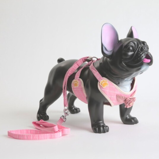 Søt Hundesele Og Hundebånd