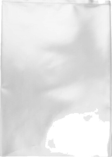 Renromspose L X B 508 Mm X 406 Mm Transparent Polyetylenpose 100 Stk