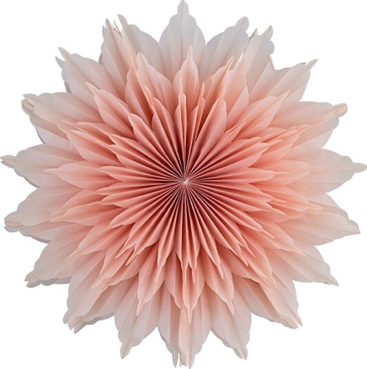 Alde & Lind Vanja D50 Rosa