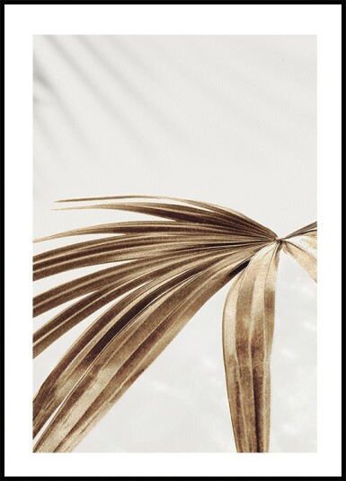 Golden Palm Leaves Plakat Plakat / 50x70cm