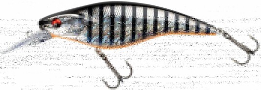 Daiwa Prorex Flatty 150mr Aurora Zebra Daiwa Prorex Flatty 150mr Aurora Zebra
