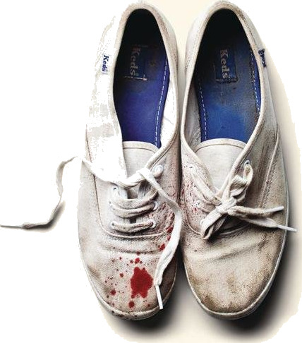 Sleigh Bells Reign Of Terror CD