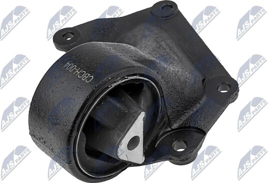 NTY ZPS CH 004 Motorfeste