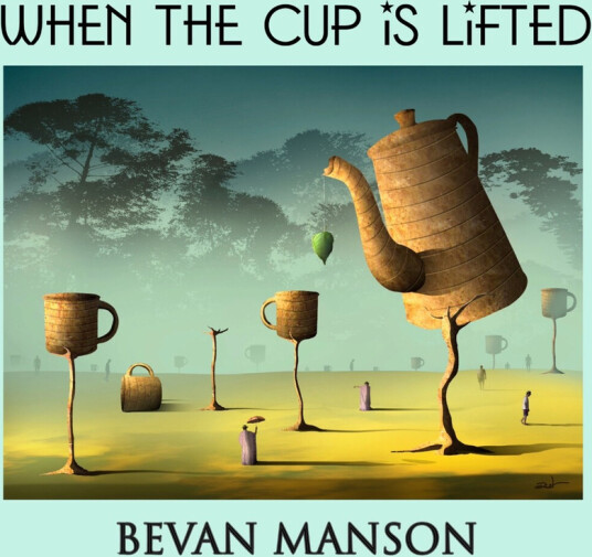 Bevan Manson When The Cup Is Lifted CD