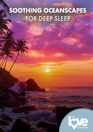 Love Destination Courses: Soothing Forestscapes DVD