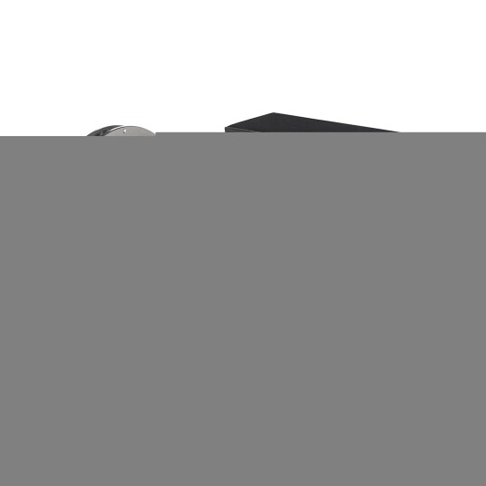 Bremseskive BREMBO 09.D934.11