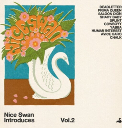 Diverse Artister Nice Swan Introduces Uk Vinyl