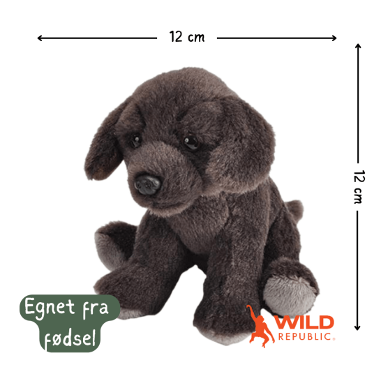 Pocketkins Eco Dog Plush | Wild Republic Pocketkins Eco Dog Plush | Wild Republic