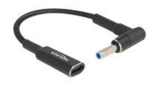 DeLOCK - power adapter - 24 pin USB-C to DC jack 4.5 x 3.0 mm - 15 cm