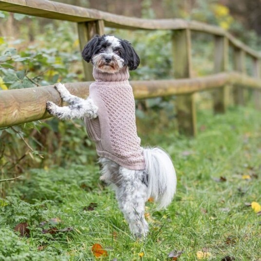 Trixie Norwood Hundegenser Med Krage Beige (18 cm)