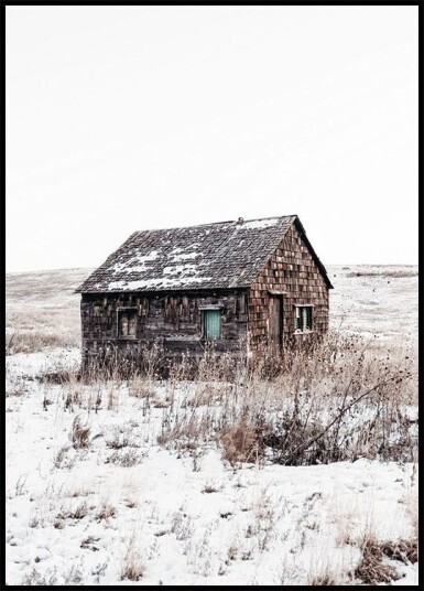 Sandhills Cabin in Snow Plakat Plakat / 40x50cm