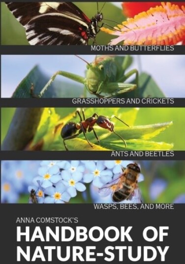 The Handbook Of Nature Study in Color Insects The Handbook Of Nature Study in Color Insects