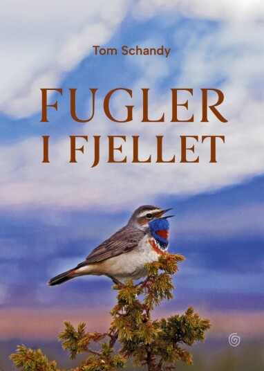 Fugler i fjellet Fugler i fjellet