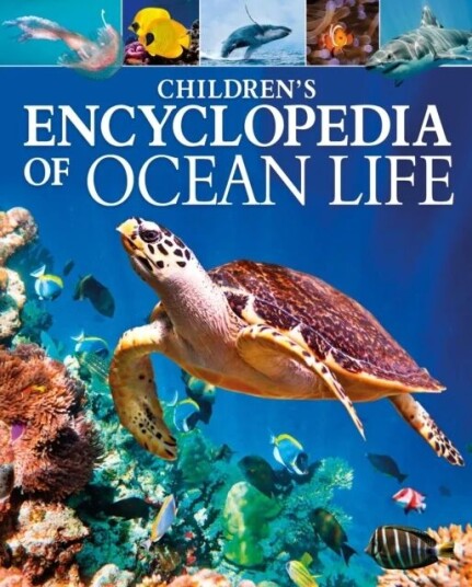 Children'S Encyclopedia Of Ocean Life Av Claudia Martin Children'S Encyclopedia Of Ocean Life Av Claudia Martin