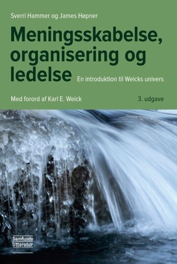 Meningsskabelse organisering og ledelse
