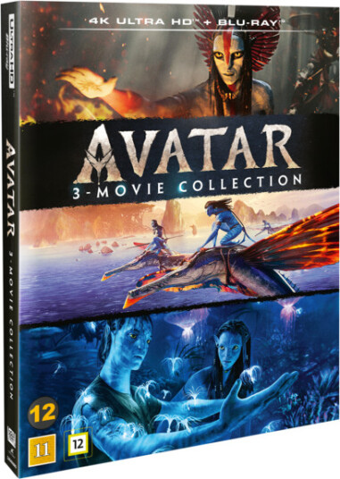 Avatar 13