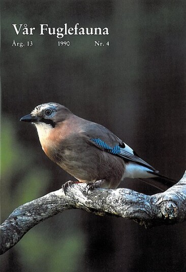 Norsk Ornitologisk Forening Vår Fuglefauna   1990 4 årgang 13