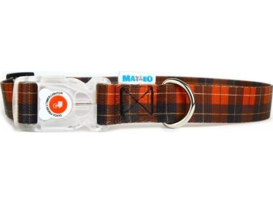 Matteo Matteo Collar With A Buckle Led Checke 20Mm 35 50Cm