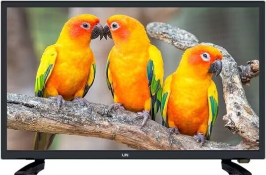 LIN 24" Full HD Smart TV 24LHDD06