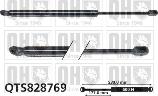 QUINTON HAZELL QTS828769 Baklukedemper