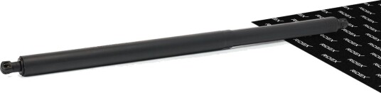 RIDEX 219G1558 Baklukedemper