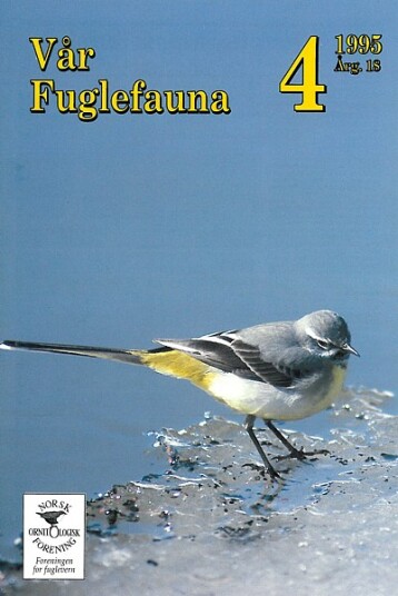 Norsk Ornitologisk Forening Vår Fuglefauna   1995 4 årgang 18
