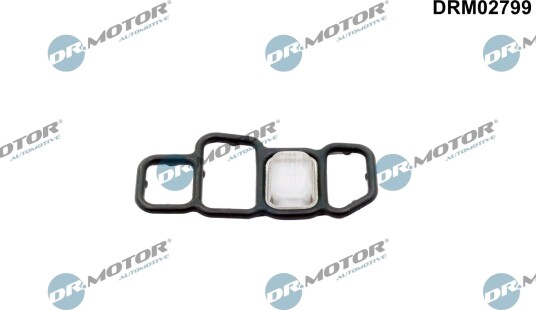 DR.MOTOR AUTOMOTIVE DRM02799 Pakning, kamakselregulering