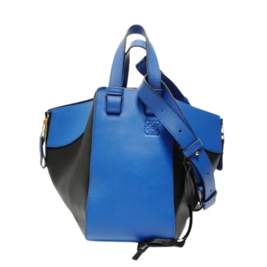 Loewe Pre-owned Dame Pre-owned Flerfarget