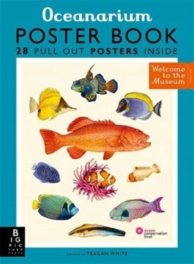 Oceanarium Poster Book Av Loveday Trinick Oceanarium Poster Book Av Loveday Trinick