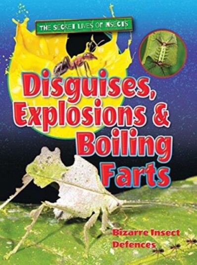 Disguises, Explosions and Boiling Farts Disguises, Explosions and Boiling Farts