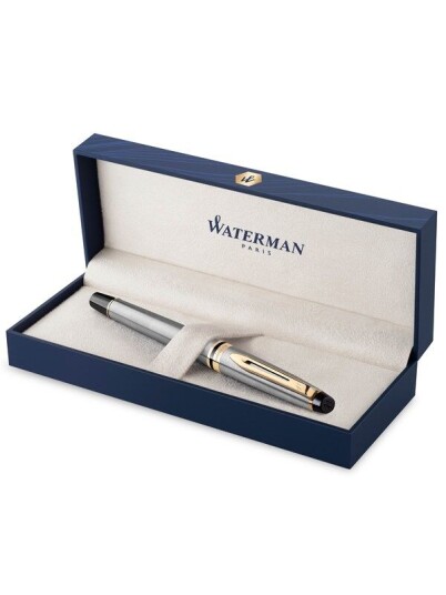 Waterman Expert Fountain Pen Stainless Steel with 23k Gull Trim Fine Nib Gift Box