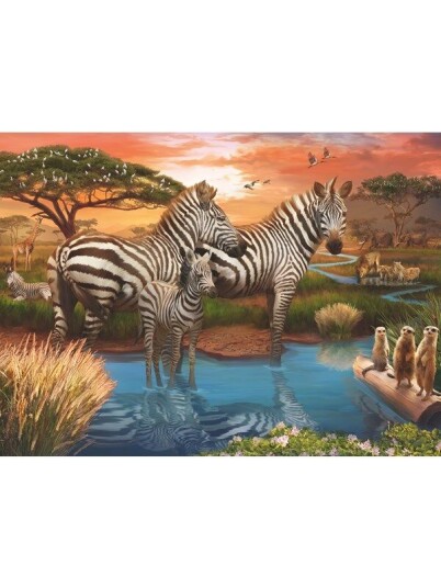 Ravensburger Zebra's at waterhole