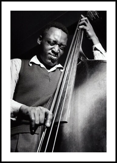 Musician on Bass Plakat Plakat / 21x30cm