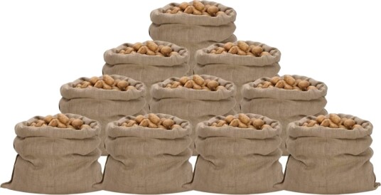  Jutesekker 10 stk 100x110 cm 100% jute 340 gsm 155788