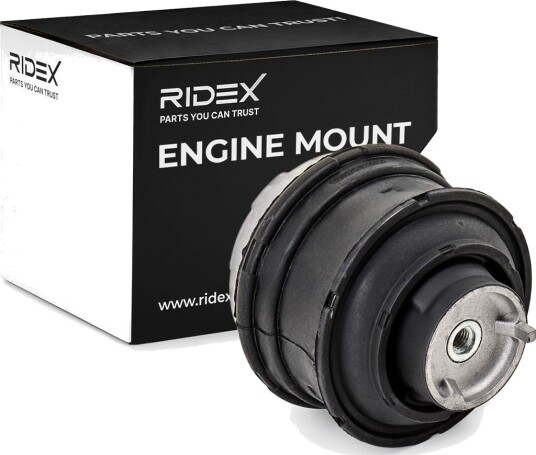 RIDEX 247E0002 Motorfeste