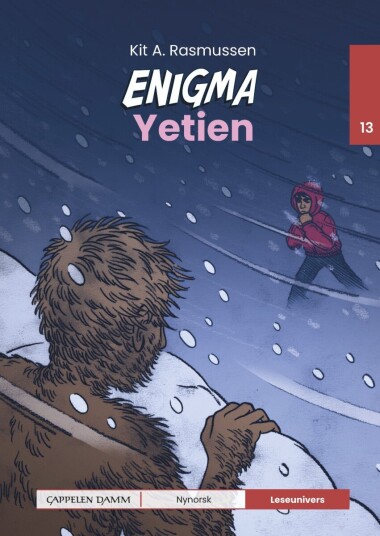 Enigma Enigma