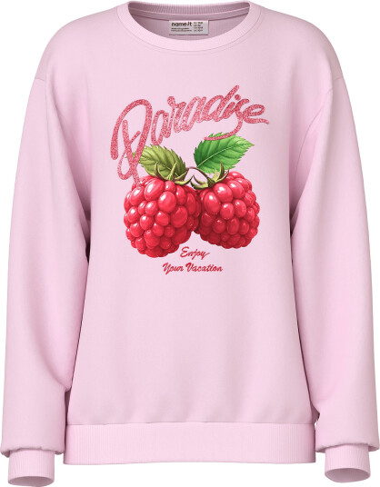 Name It Nkfjaimas Ls Nreg Sweat Unb Box Pink 116