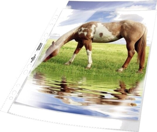 Durable Premium   Arkbeskytter   For A4 210 X 297 Mm   Gjennomsiktig En Pakke 50