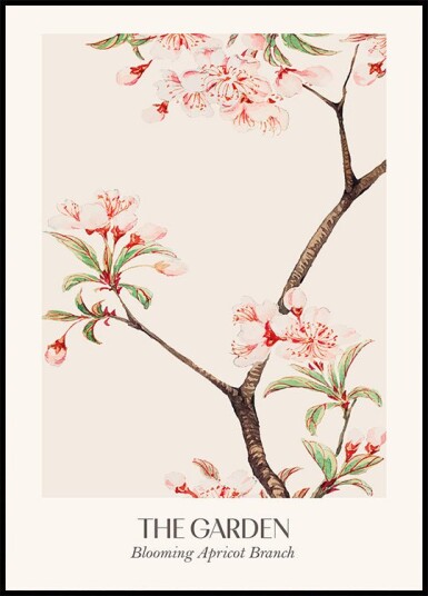 Blooming Apricot Branch Plakat Plakat / 100x150cm