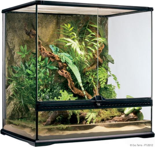 Glassterrarium Natural Medium/Tall 60 X 45 X 60 cm Glassterrarium Natural Medium/Tall 60 X 45 X 60 cm