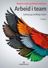 Arbeid I Team Av Morten Levin, Monica Rolfsen