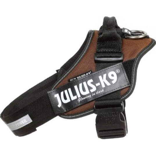 Julius-K9 IDC Sele Brun