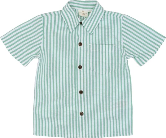 The New Tnsttate S_S Shirt Green 86 The New Tnsttate S_S Shirt Green 86