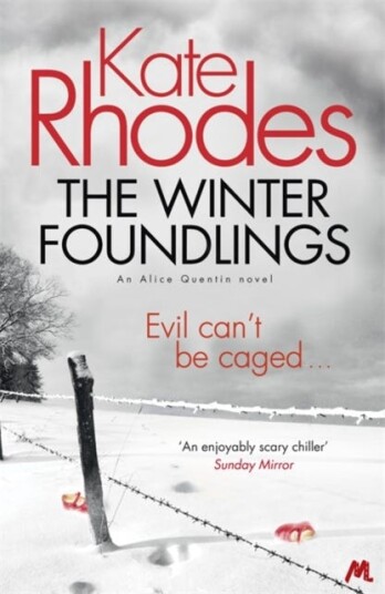The Winter Foundlings  Alice Quentin 3
