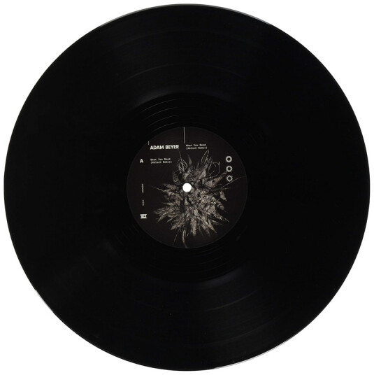 What You Need (kolsch Remix)